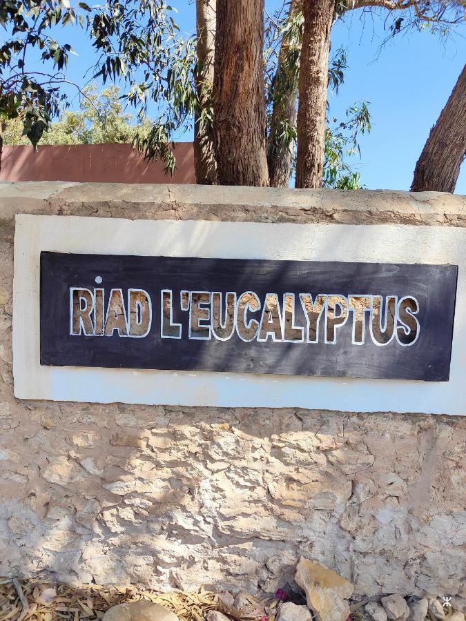Riad Eucalyptus By Caravanserail Essaouira Extérieur photo